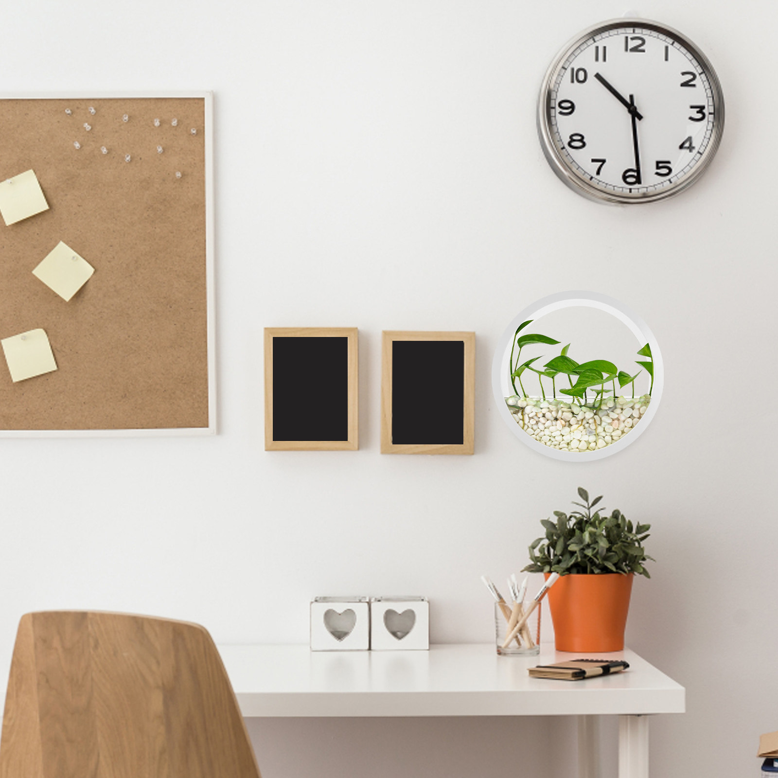 Vertical Wall Planter - Настенная ваза круглая прозрачная для гидропоники,