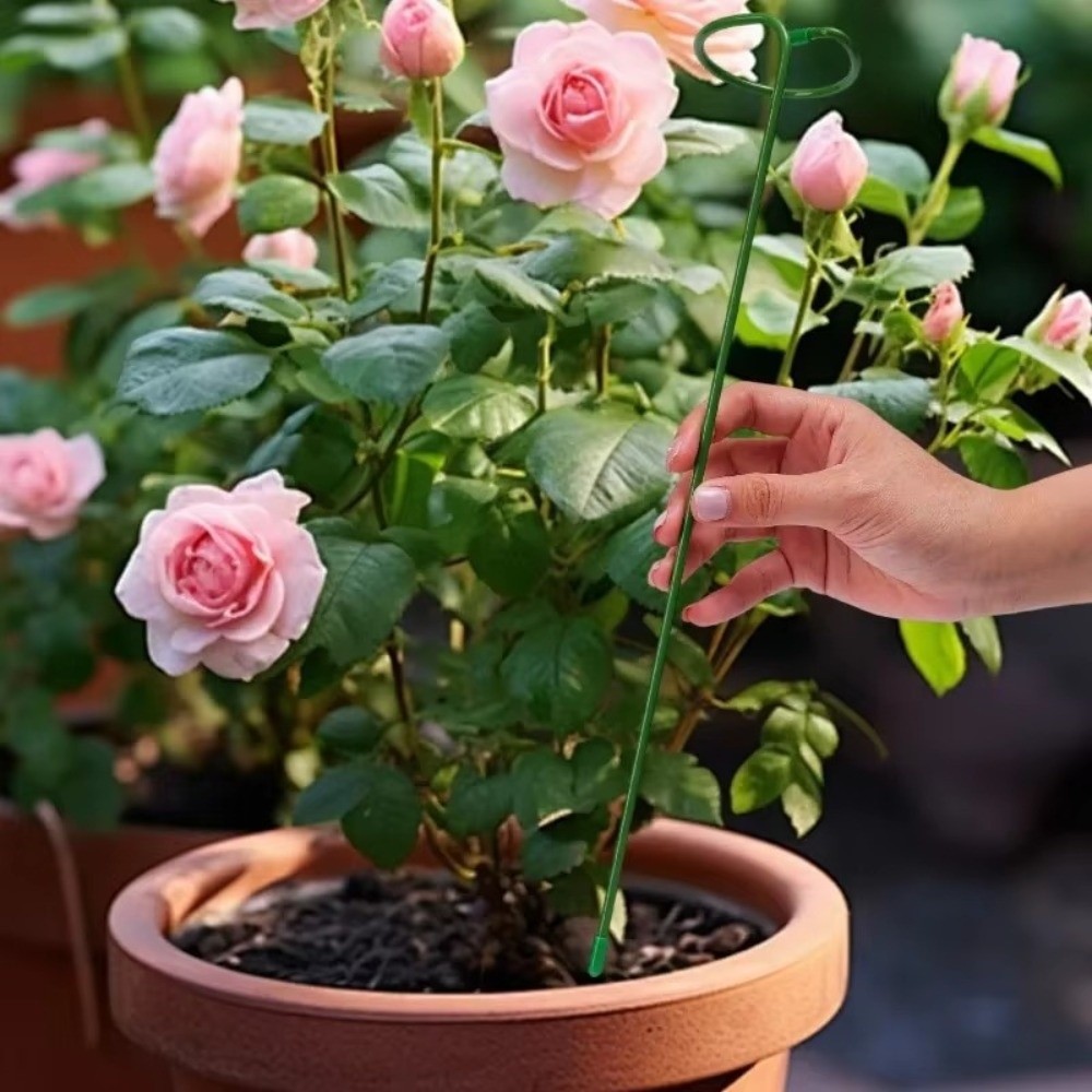 Gardening Tools For Beginners - Новая металлическая опорная рама для растений,