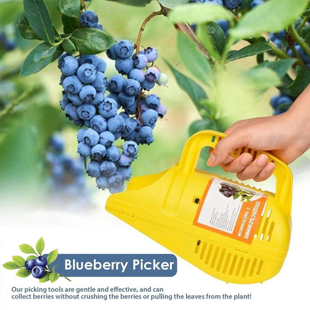 Gardening Tools You Must Have - Инструмент для сбора черники с удобной