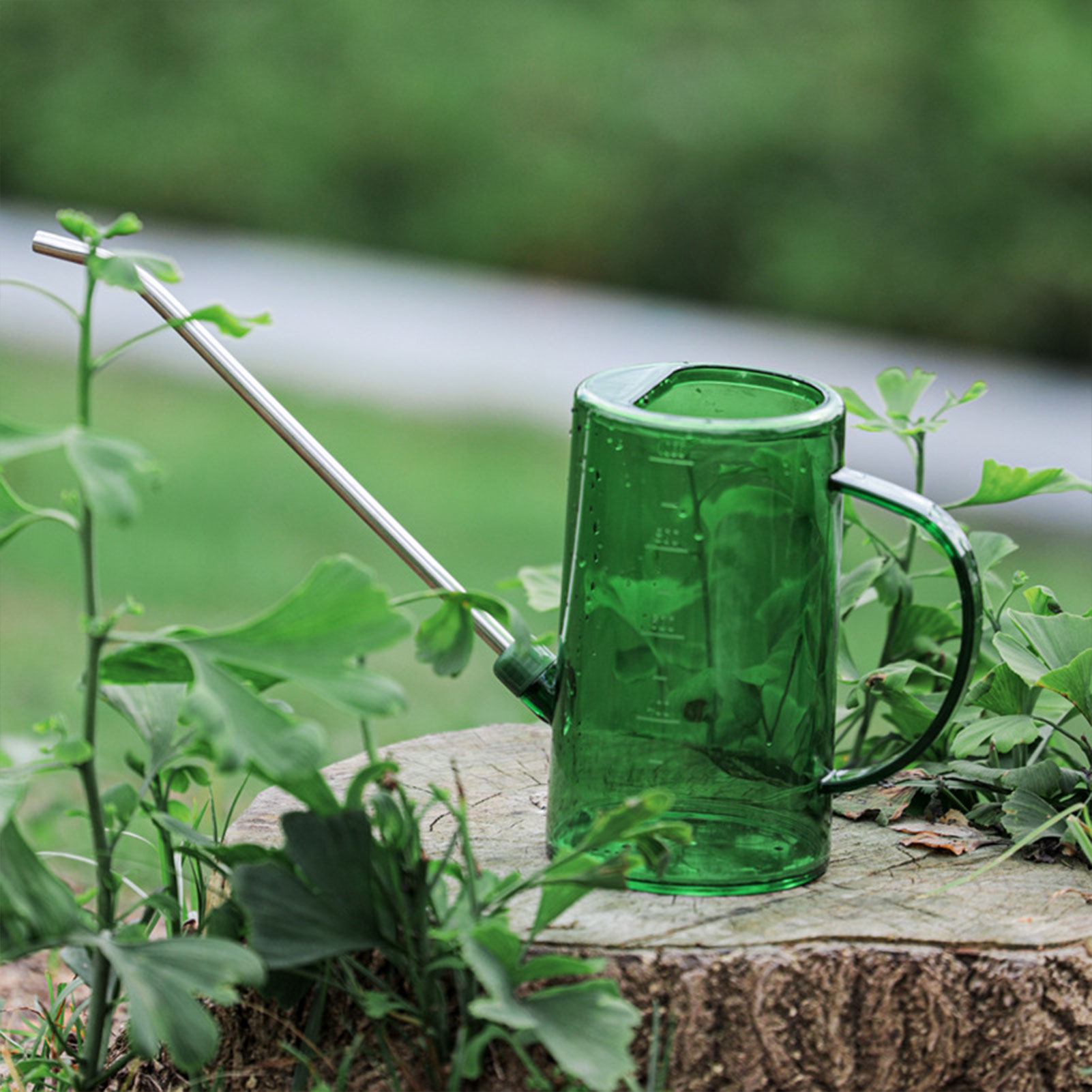 Gardening Tools For Beginners - Лейка для комнатных растений 1 л/1,5