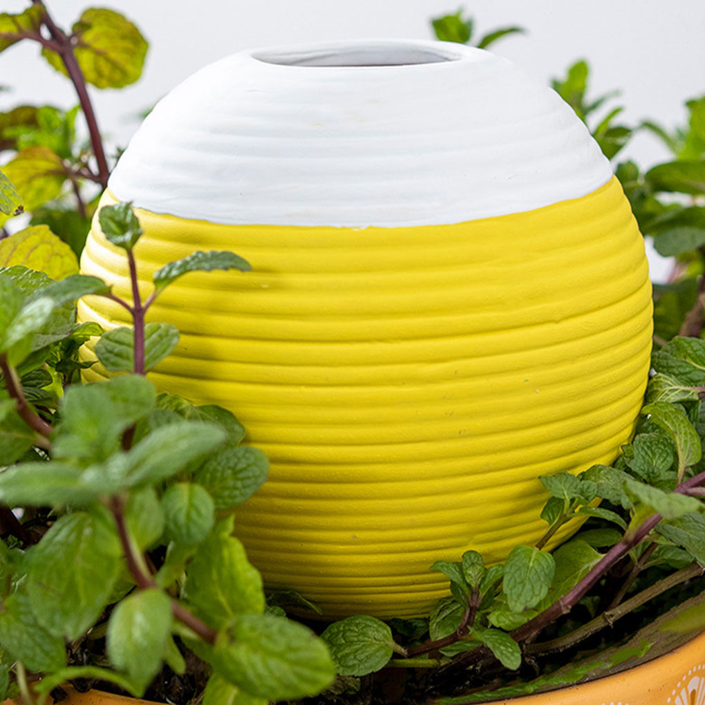 Автоматический ирригатор для р – обзор и цена Gardening Tools You Must Have