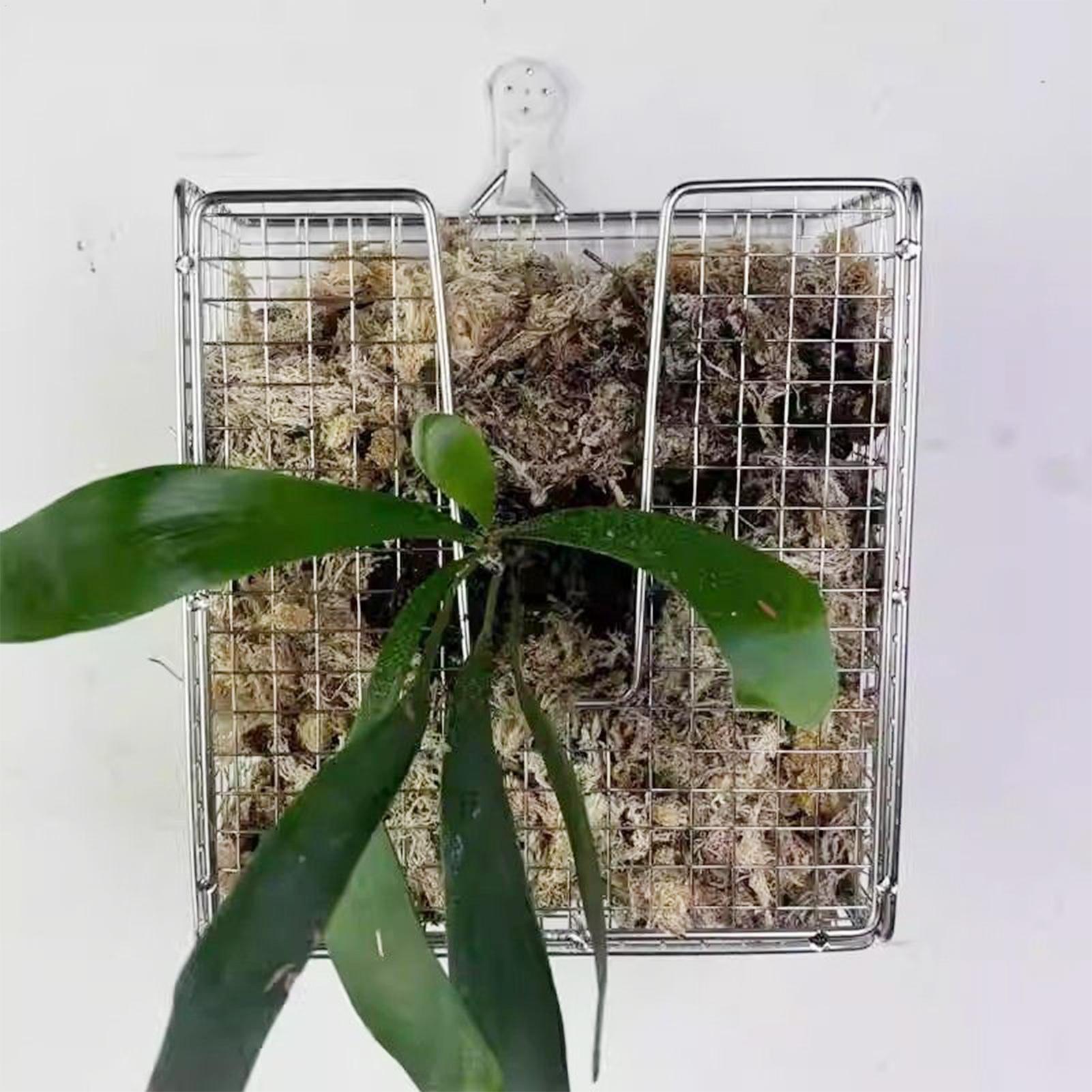 Монтажный комплект для папорот – обзор и цена Vertical Wall Planter