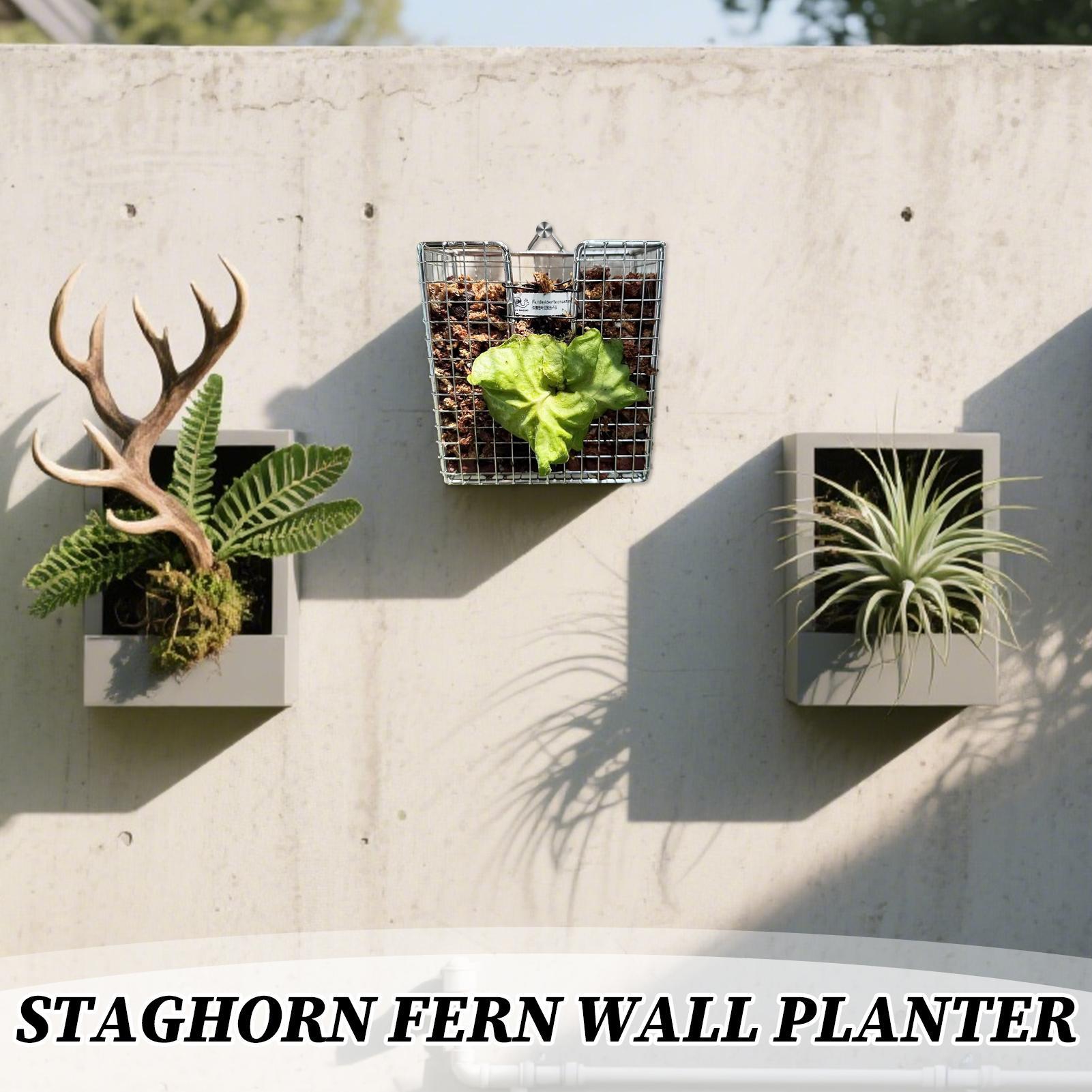 Монтажный комплект для папорот – обзор и цена Vertical Wall Planter