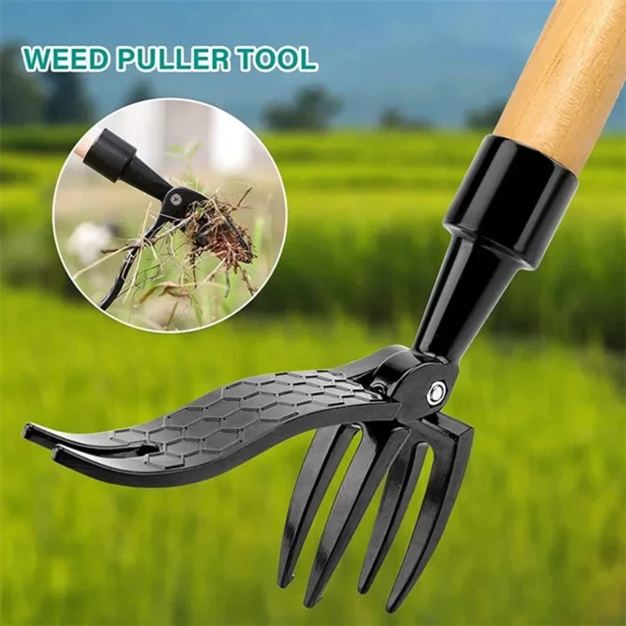 Инструмент для удаления сорняк – обзор и цена Grass Seed Spreader
