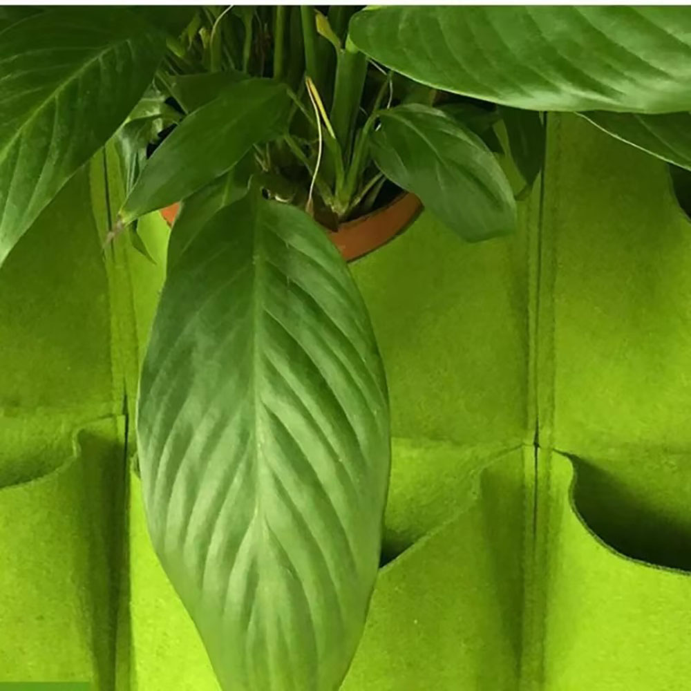 Зеленый вертикальный подвесной – обзор и цена Vertical Wall Planter