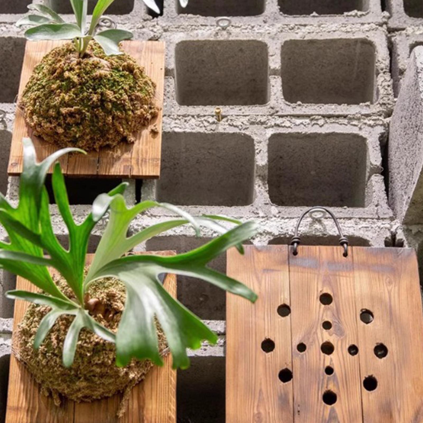 1 шт., подвесная доска для пап – обзор и цена Vertical Wall Planter